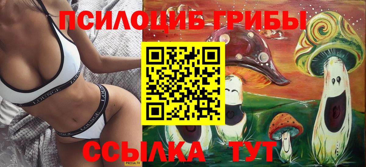Острогожск  Галлюциногенные грибы Psilocybine cubensis  Вход с VPN 